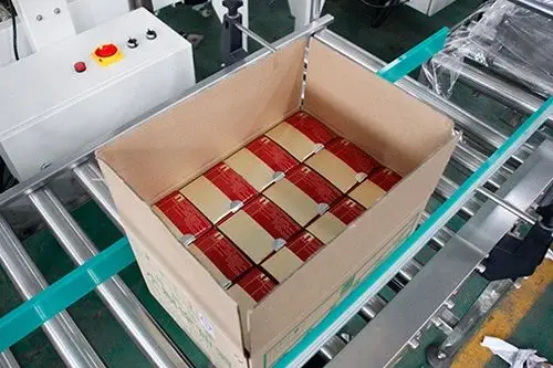 High Speed Bagging Case Packer High Speed Bagging Case Packer