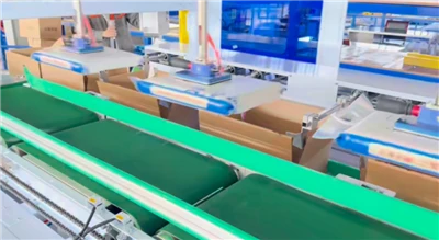 Fully Automatice Bagging Machine And Case Packer Fully Automatice Bagging Machine And Case Packer